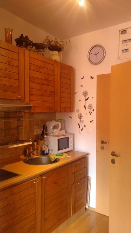 Fatrapark 1 U Sovicky Studio, Kuchynka, Kupelna,S Balkonom Gratis Parkovanie V Podzemnej Garazi Ruzomberok Exterior foto