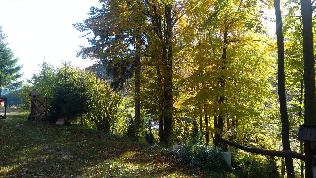 Fatrapark 1 U Sovicky Studio, Kuchynka, Kupelna,S Balkonom Gratis Parkovanie V Podzemnej Garazi Ruzomberok Exterior foto